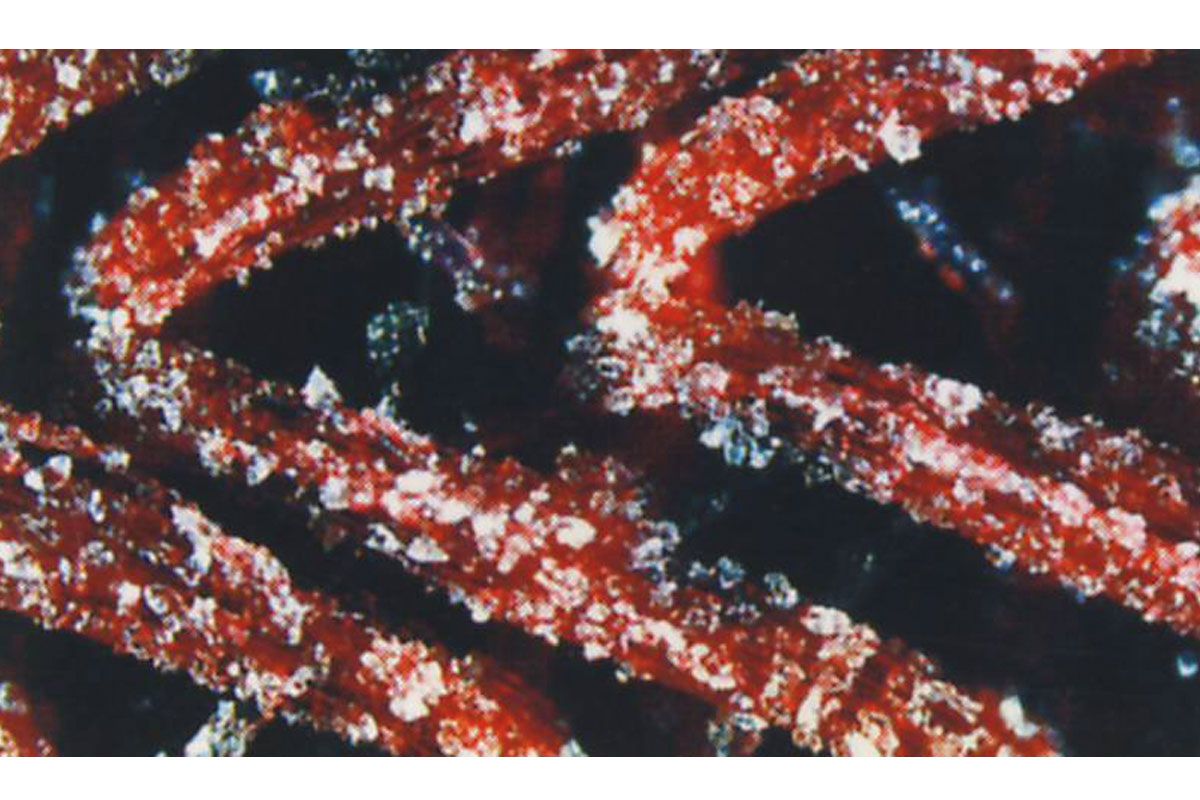 Rupes X-Cut P2000 Ø75mm 20pk